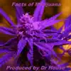 Dr. House - Facts of Marijuana - Single